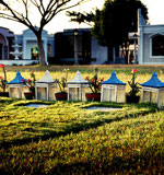 免费ddos平台攻击